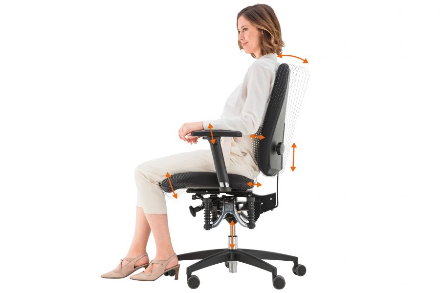 Verstellm&ouml;glichkeiten des Bioswing 250/260