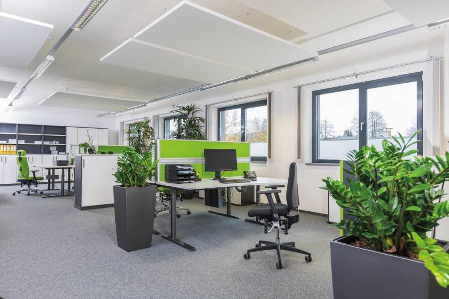 B&uuml;roeinrichtung mit Biowing B&uuml;rostuhl 250 iQ