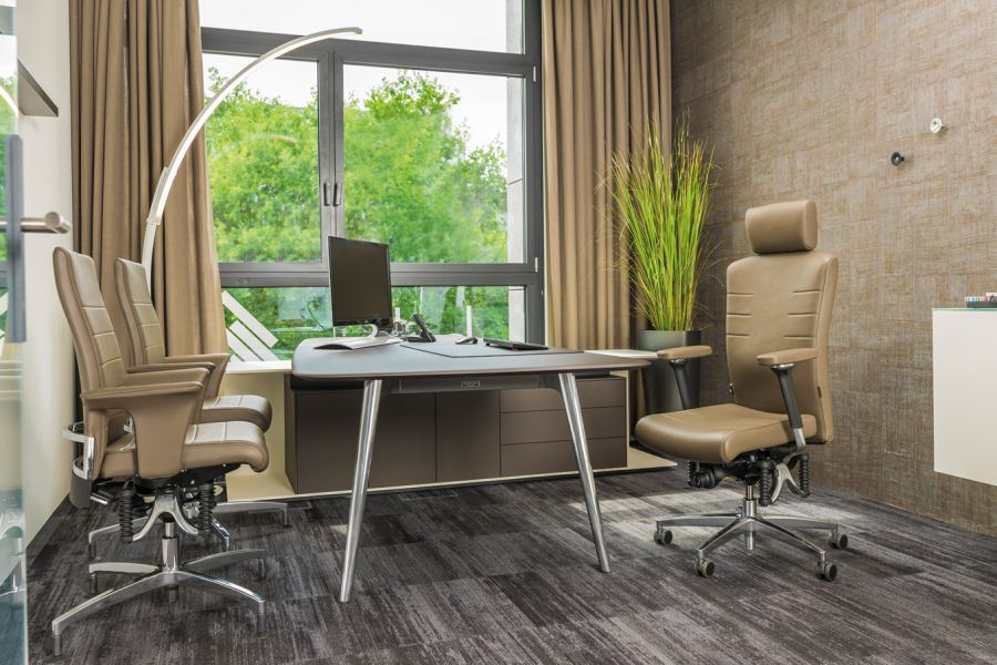 B&uuml;rostuhl Bioswing 560 mit 2 Besucherst&uuml;hlen Bioswing 660 iQE im B&uuml;ro