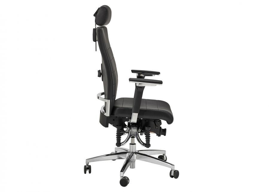 Chefsessel Bioswing 660 iQ in Leder in der Seitenansicht