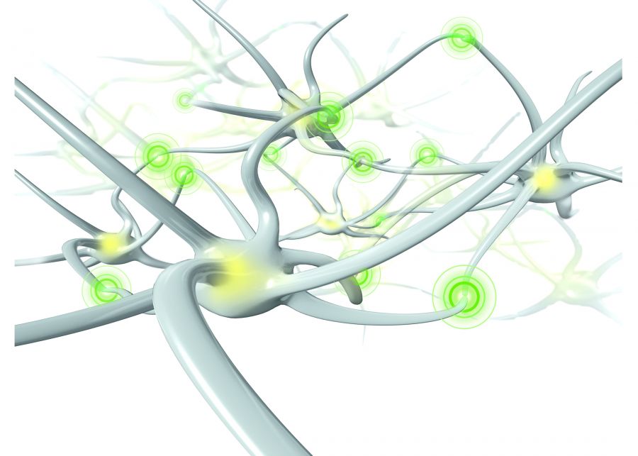 Grafik: Neuronale Vernetzung mit und ohne Bioswing