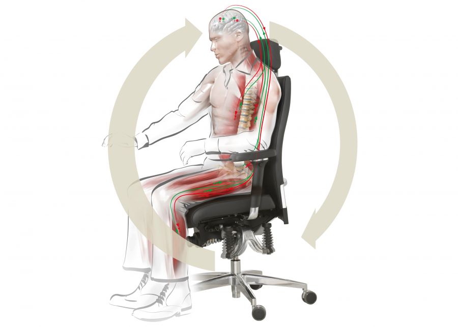 Grafik: Der Bioswing Regelkreis