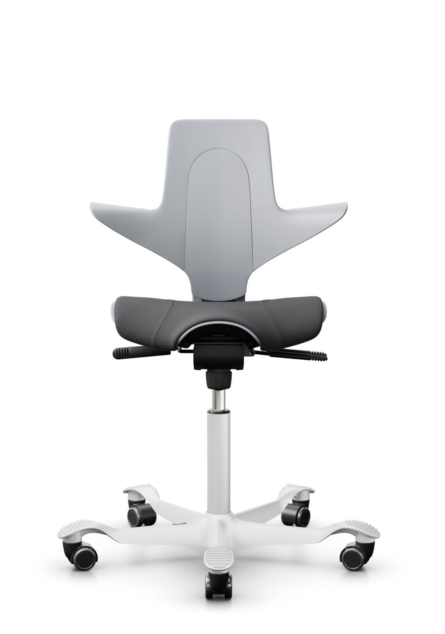 Bürostuhl Håg Capisco Puls, Modell 8020