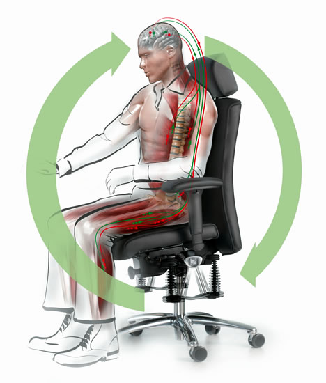 Der positive Bioswing Regelkreis: Positive Impulse für Rückenmuskulatur und Bandscheiben sowie eine verbesserte neuronale Vernetzung fördern gleich mehrfach die Körperharmonie des Sitzenden.
Grafik: Haider Bioswing